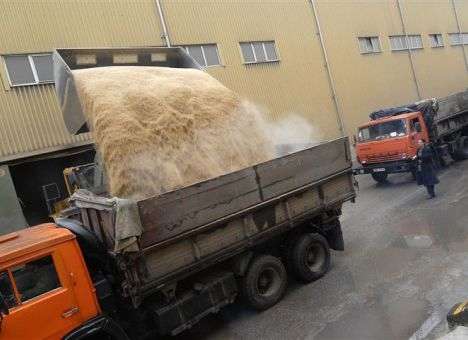 Украина в этом году поставит в Китай 3,5 млн. тонн агропродукции