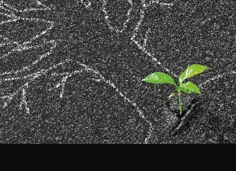 Диссиденты превратились в юристов