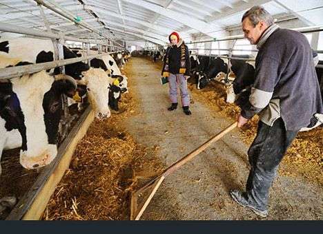 Кабмин предложил отменить налоговые льготы для крупных агрохолдингов