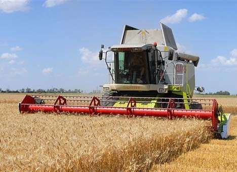 Украинские аграрии собрали 23,6 млн. тонн зерновых