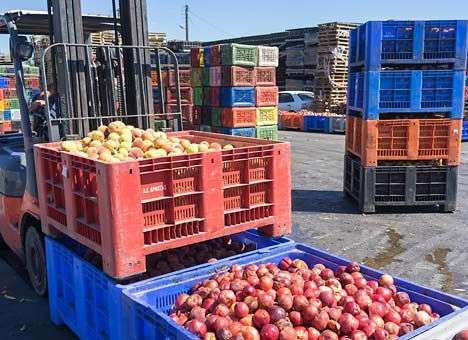 РФ угрожает ввести запрет на импорт фруктов из ЕС