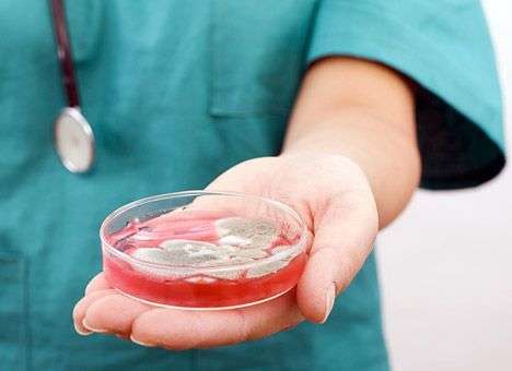 В Европе не исключают распространения лихорадки Эбола на другие континенты