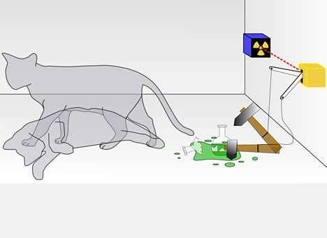 Ученые впервые проследили за котом Шредингера