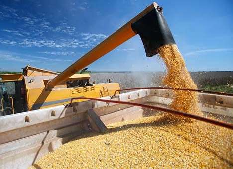 РФ запретила поставки из Украины сои, подсолнечника и кукурузной крупы