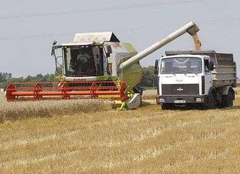 Украина соберет рекордно высокий урожай озимой пшеницы – Кульбида
