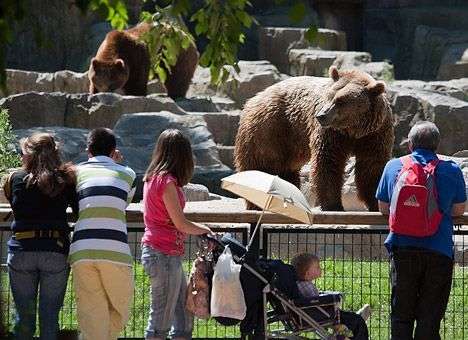Мадридский зоопарк ограбили на 1 млн. евро