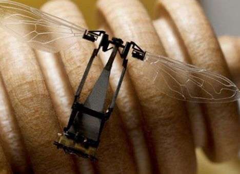 Разработан протопит робота-пчелы