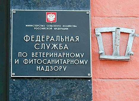 Россельхознадзор пожаловался на зараженную крупу из Черкасс