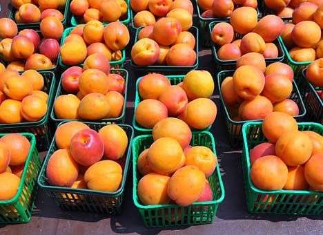 Еврокомиссия поддержит производителей персиков и нектаринов, запрещенных в РФ