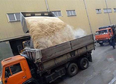 Украинский аграрный экспорт в Россию упал почти на треть