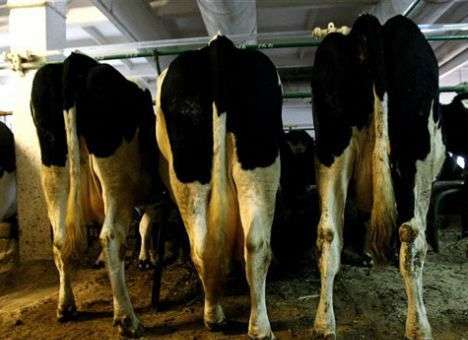 Сельскохозяйственная промышленность РФ не получит от Германии 1 млрд. евро