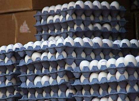 РФ вернула в Крым украинские молочку, яйца и консервы (ДОКУМЕНТ)