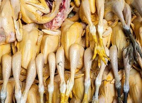 В России резко подскочили цены на курицу