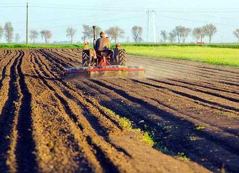 ЕС потратит ещё 30 млн. евро на поддержку агропроизводителей