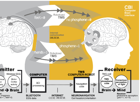 Ученые научились передавать мысли на расстоянии