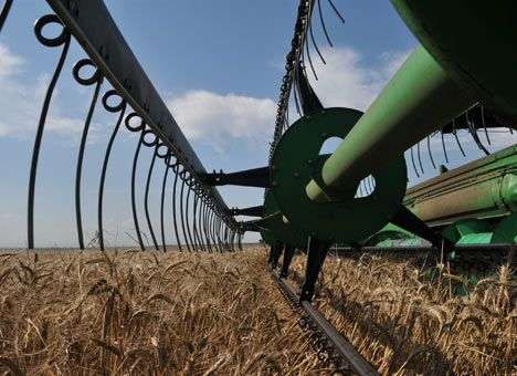 Пекари останутся без муки