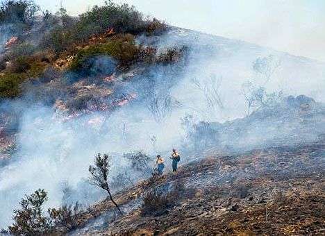 Лесной пожар в Калифорнии вынудил покинуть дома жителей 200 домов