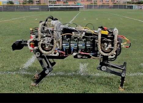 Робот-гепард освоил бег без поводка (ВИДЕО)