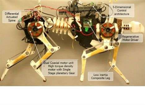 Создан алгоритм для бега робота-гепарда (ВИДЕО)