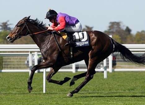 Лошадь Елизаветы II дисквалифицировали за морфин