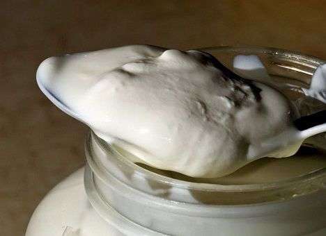 Йогуртовые бактерии позволят диагностировать колоректальный рак