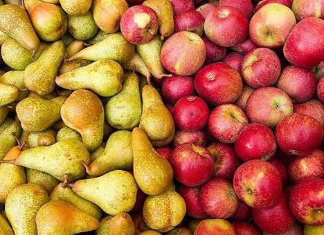 Россия заподозрила Украину в реэкспорте запрещенных овощей и фруктов из ЕС