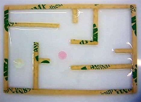 Ученые из Дании научили спирт самостоятельно передвигаться (ВИДЕО)