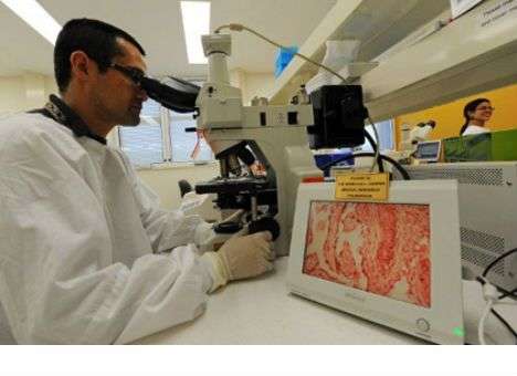 В США запретили создавать смертоносные вирусы