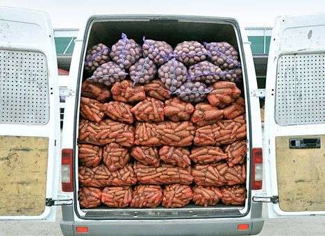 РФ вводит запрет на импорт и транзит растительной продукции из Украины