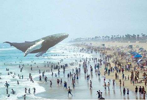 Google инвестирует в развитие технологии кинематографической реальности (ВИДЕО)