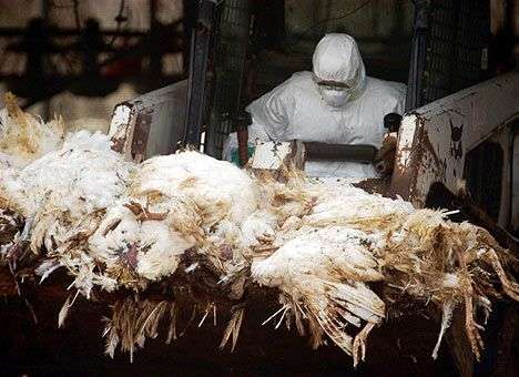 Темная сторона прогресса