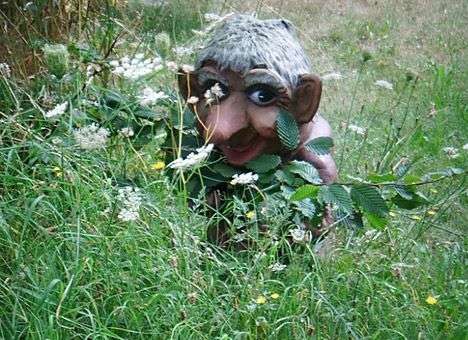 Правительство Дании потратит $ 428 тыс. на изучение троллей