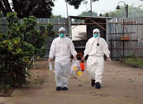 ЕС выделил на вакцину против Эболы еще €280 млн.