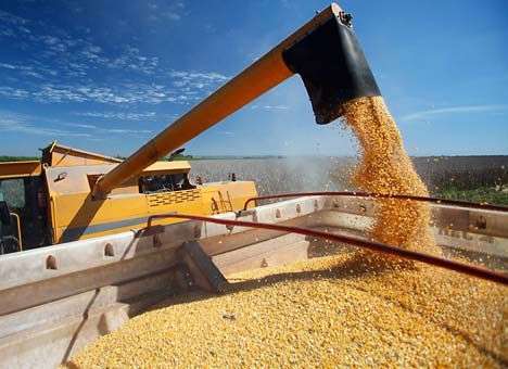 Украина экспортировала 12,7 млн. тонн зерна
