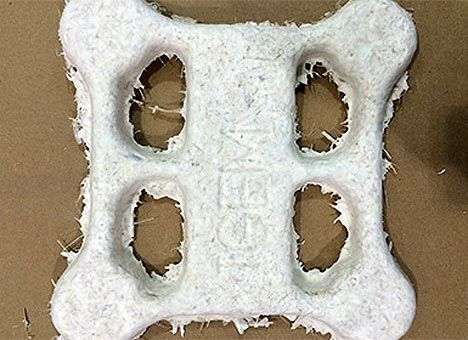 Американцы собрали беспилотник из грибов и бактерий