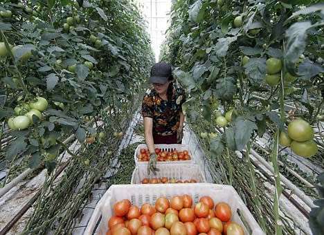 Перезимуем без витаминов