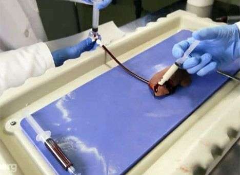 Ученые разработали лечебный гель, мгновенно останавливающий кровотечение (ВИДЕО)