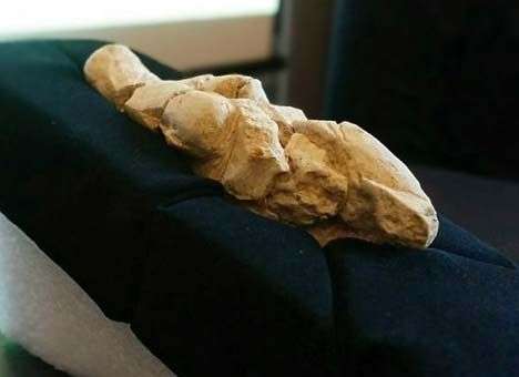 Ученые обнаружили первобытную статуэтку Венеры