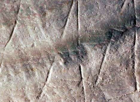 Ученые обнаружили доисторический индонезийский орнамент