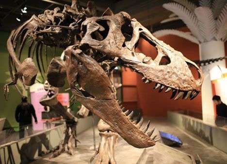 Парк силурийского периода