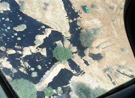 В Израиле произошла крупнейшая экологическая катастрофа - СМИ