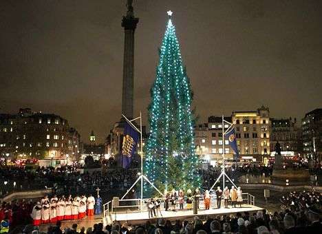 В Лондоне зажгли главную елку страны