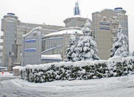 ФФУ обвиняет программу «ПроФутбол» в подстрекательстве к беспорядкам на стадионах