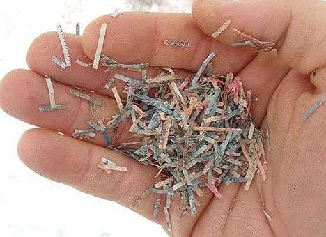 В Донецке выбросили 50 мешков с порезанными гривнями - СМИ (ФОТО)