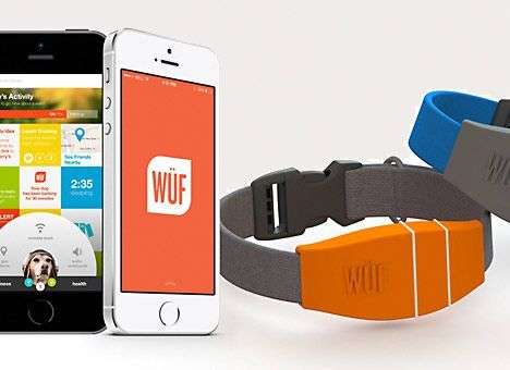 Компания Boulder создаст «умный» собачий ошейник