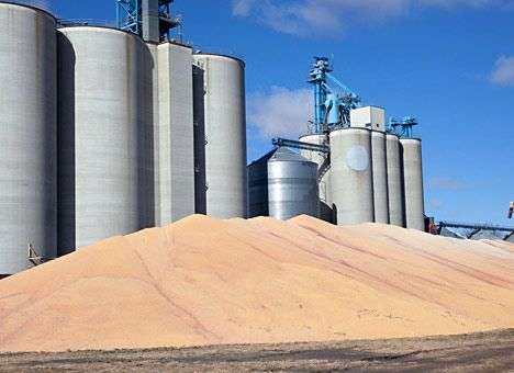 В Украине возросли запасы зерна  - Госстат