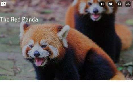 В Office появится новое приложение для творчества (ВИДЕО)