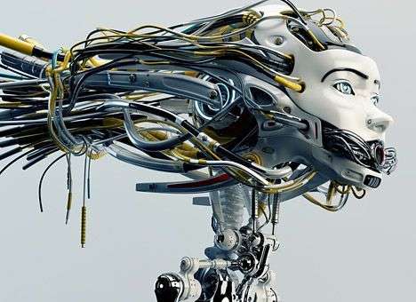 Кумиры  сетевой демократии