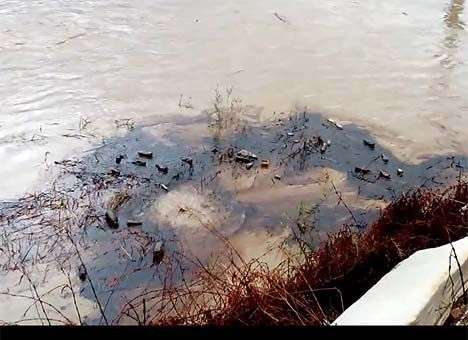 Компании РФ значительно занизили масштабы утечки нефти в Черном море – WWF (ВИДЕО)