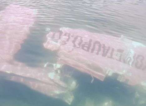 В Зеландии пассажиры успели выпрыгнуть из самолета за секунды до крушения